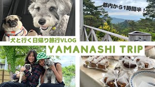 犬と行く山梨日帰り旅！！コーヒー、お菓子、昇仙峡etc