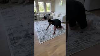 The Perfect Rug DOES Exist! #carpet #ruggable#amazonfinds #amazonhome #amazonfavorites #unitedstates