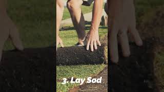 How To FERTILIZE NEW SOD w/ N-Ext™ Seed Pack Part one #short // N-Ext™ DIY Lawn Care Tips