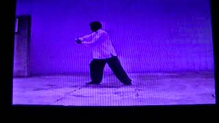 楊氏大功架43式太極拳(唐偉TangＷei)(7.22)　2025東瀛太極拳社