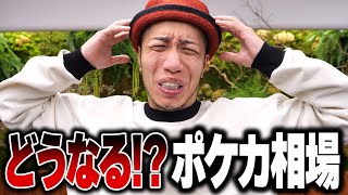【ポケカ投資】大暴落から更に下落中のポケカ相場について正直に語ります...