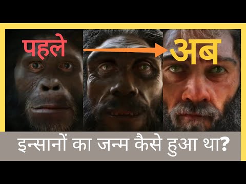 डायनासोर के अंत के बाद, इन्सानों का जन्म कैसे हुआ था? || Evolution of Humans in Hindi