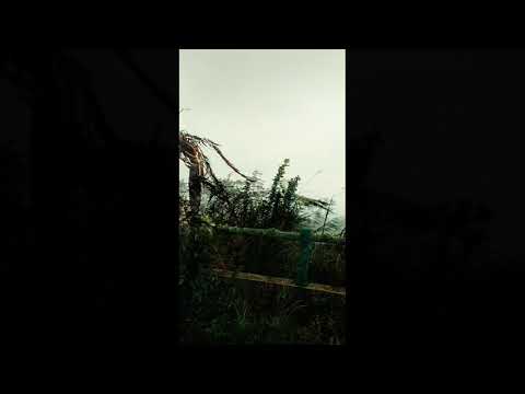 Mayon Resthouse Skyline