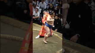 とにかくかっこいい若隆景　#令和7年五月場所十日目