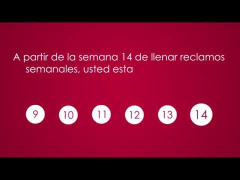Desempleo de Nebraska - Aumentar los Contactos de Trabajo en la Semana 13
