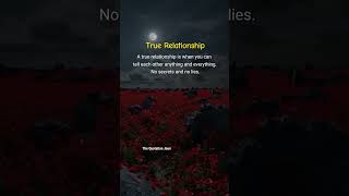 True Bond = No Lies, Just Trust 💞🤝#TrueRelationship #TrustMatters #NoLies