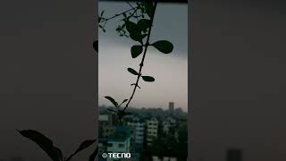 #shortvideo #sky #tree #treelove #fypシ゚viral #fyp #subscribe #support