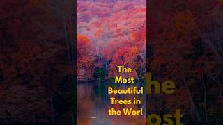 Iran's Thousand-Color Autumn#irantravel#nature#travel#tourist#Iranteravel Raha#shorts