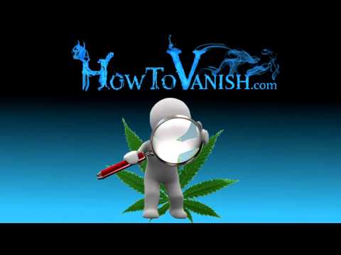 How Drug Legalization Will Increase Personal Privacy