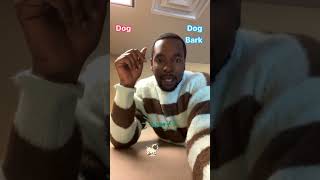 Daily Gullah Geechie Vocabulary Zabriel Rivers💫| You are such a fast learner #gullahgeechie #gullah