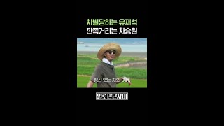 예쁨 받는 차승원 질투하는 유재석ㅋㅋㅋ #일로만난사이