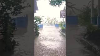 Heavy Rain  for Insomnia #healingrain #nature  #heavyrainandthundersoundsforsleeping #rainsoud #rain