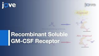 Cell Free Assay System Estimating Neutralizing Capacity: GM-CSF Antibody l Protocol Preview