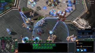 ESports - StarCraft II, Neeblet vs TSGSolar, Assembly Summer 2019 (6th of August 2019), Acropolis...