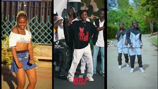 Excellent by Kojo Blak TikTok Dance Challenge Compilation 2025