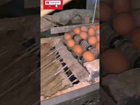 #viralvideo #funny #stetus #shorts