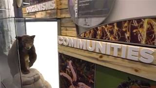 CSU Biology Building Tour with Mike Antolin