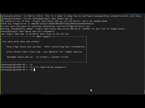 passwordless auth