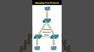 Topology with Spanning Tree Implementation: CCNA 2.5
