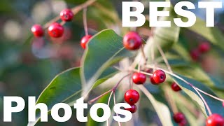 BEST PHOTOS in 150 Seconds Charles River 2022-2023 Winter Moments | TerraHelp Nature Creative Ideas