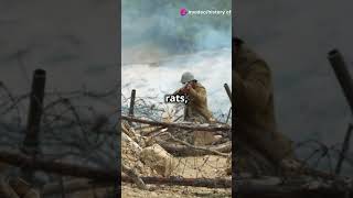 1080 The Great War  A Quick Dive 2024 07 15 2