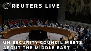 LIVE: UN Security Council holds meeting on the Middle East