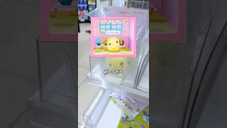 たまごっち一番くじ「もうこな」チャレンジ👊🔥 #プチプチおみせっち