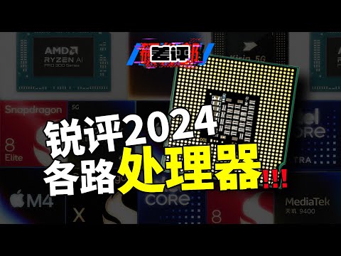 锐评2024各路处理器！2024年全球CPU批斗大会：谁强谁弱，咱们挨个唠唠！【差评硬件部】