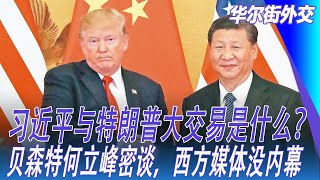 习近平与特朗普大交易是什么？贝森特何立峰密谈，西方媒体没内幕，彻底预测错瑞士会谈，中美只有互补一条出路|华尔街外交