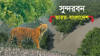 সুন্দরবন : ভারত ও বাংলাদেশে পৃথিবীর বৃহত্তম ম্যানগ্রোভ বন !! Documentary of Sundarbans