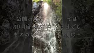 日本が40℃近くてもハチ北「もののけの森」の「昇龍の滝」は… #shorts