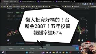 懶人投資的好標的－２８８７台新金！五年投資報酬率達６７％