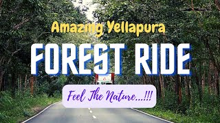 Yellapur | Scenic Forest Drive | Jungles Of Karnataka | Cabin Ride | A Mumbai - Mangalore Bus Trip