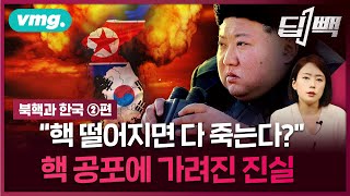 "핵 떨어지면 다 죽는다"고요?...'핵 방호', 현실적인 이야기를 해보겠습니다 / 비디오머그 / 딥빽 (feat. 이춘근 위원)