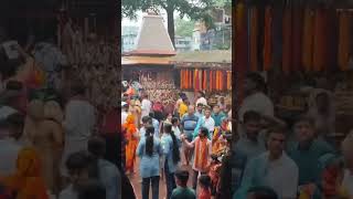 #bholanath #TN Lok Thari#vlogvideo #tradingshot#video