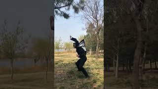 Chinese kungfu  Traditional Wushu in China