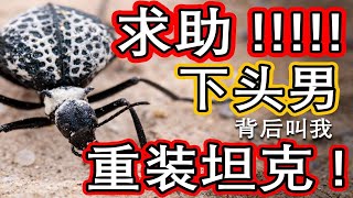 家人们谁懂啊？今天碰到个大无语下头男背后说我是重装坦克，咱就是说我也算是个小仙女吧【沉浸式刷山08】（微距摄影）· 安扎布雷格纪行