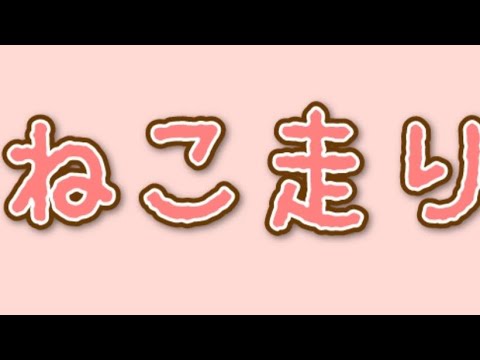 ねこ走り