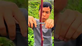 From 300k Tech Job To Mountain Life - How Burnout Made Me Rich AF