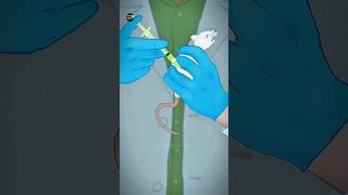 Why Always Mice Use For Experiment 😱#shockingfacts #shorts #ytshort