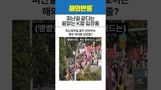 피난길 같단 해외 케이팝 공연 입장줄?
