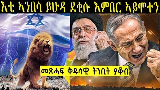 እቲ ኣንበሳ ይሁዳ ደቂሱ እምበር ኣይሞተን  ትንቢት ይፍጸም