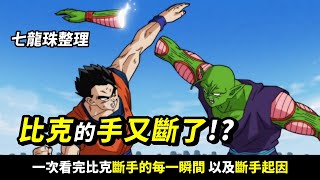 【七龍珠超整理】比克斷手次數整理   一次看完龍珠裡 負責斷手的比克到底斷了幾隻手吧！ 以及快速回顧斷手原因 _ 波卡多