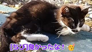 [ちび]卒園！🥳…✨️2816