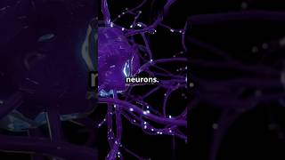 “Unlocking the Future: The Silicon Nuerons #innovation #science #educationalshorts #medical #shorts