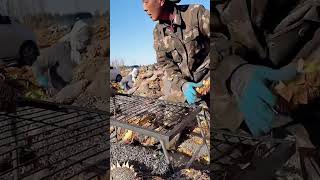 Harvesting sunflower seeds process #harvesting #satisfying