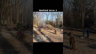 Modern a-frame diy build under 1000 sq ft #diybuild #buildingonabudget