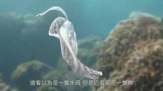 後壁湖