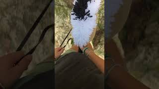 Some clips from sweeties first hack with me🌳