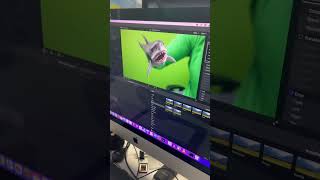 Shark week behind the scenes #shark #sharkweek #behindthescenes #videography #advertising